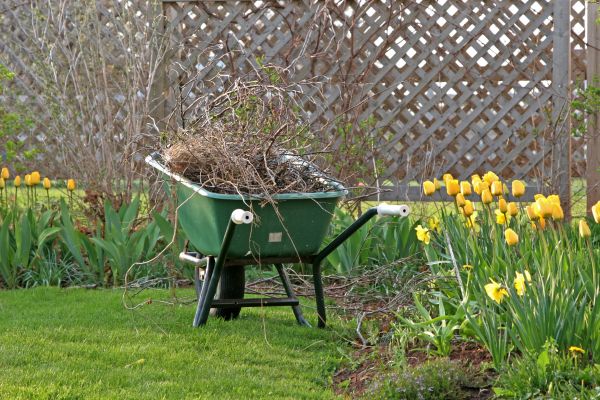 Flower Bed Cleanup Service in Roswell