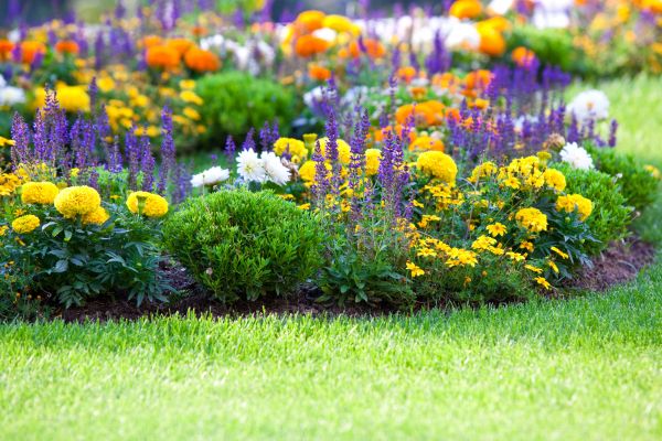 Flower Bed Maintenance in Roswell
