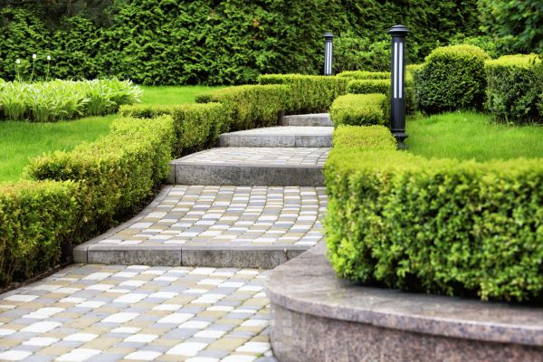 Backyard Remodeling in Roswell