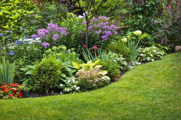 Flower Bed Service in Roswell