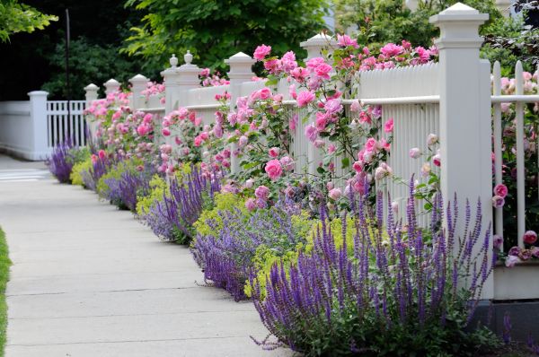 Garden Handyman Service in Roswell
