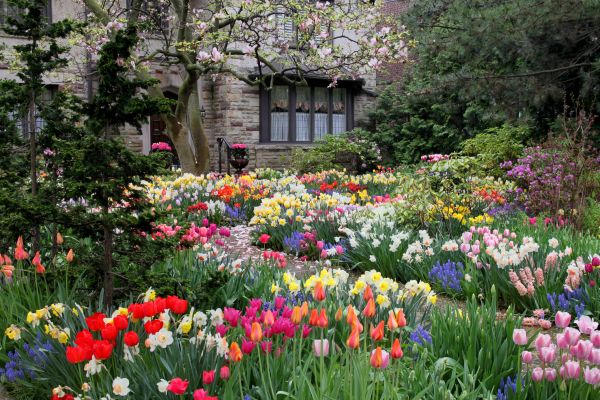 Garden Maintenance Service in Roswell