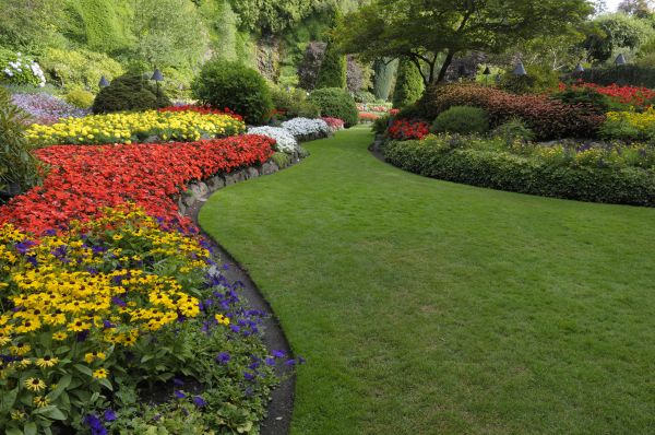 Landscaping Maintenance in Roswell