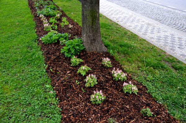 Mulch Replacement Service in Roswell
