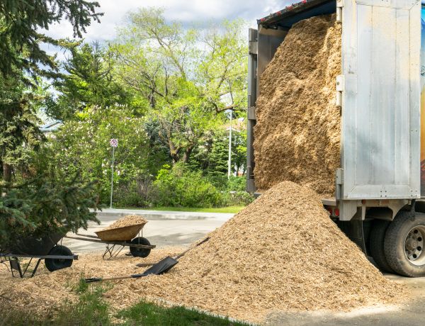 Wood Chips Delivery in Roswell
