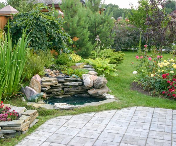 Yard Renovation in Roswell