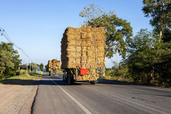 Pine Straw Delivery in Roswell