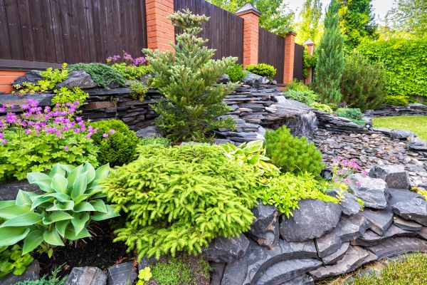 Landscape Remodeling in Roswell
