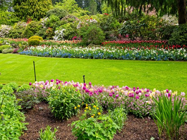 Residential Landscape Design in Roswell