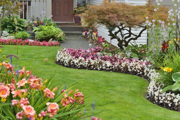Perennial Landscaping in Roswell