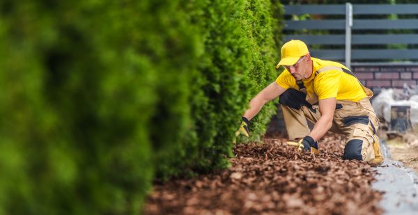 Cypress Mulch Installation in Roswell