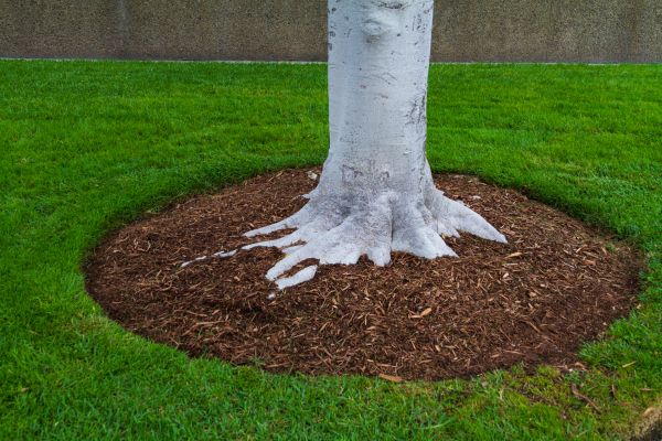 Brown Mulch Installation in Roswell