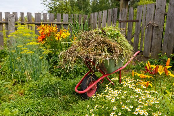 Garden Cleanup Service in Roswell