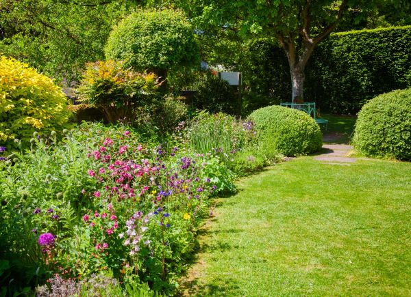 Yard Landscaping Service in Roswell