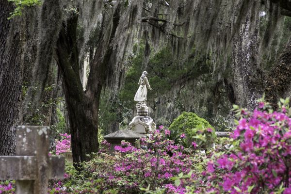 Cemetery Landscaping in Roswell