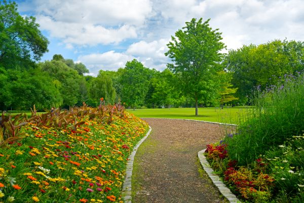 Park Landscaping in Roswell