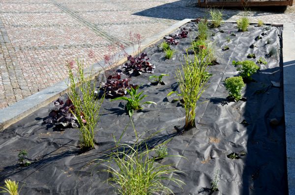 Landscape Fabric Installation in Roswell