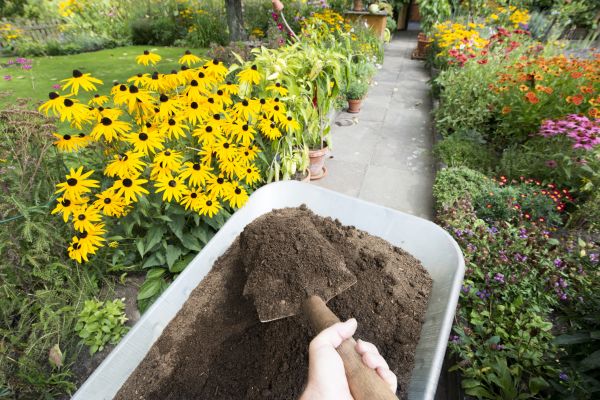 Topsoil Replacement in Roswell