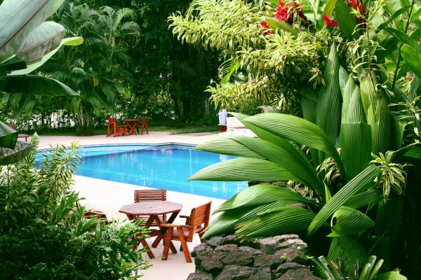 Pool Area Landscaping in Roswell