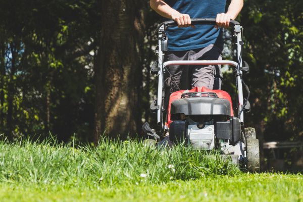 Garden Trimming Service in Roswell