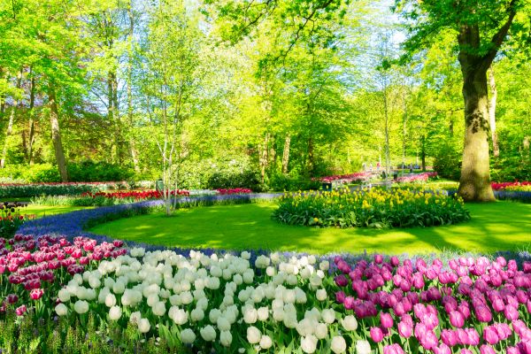 Flower Landscaping in Roswell