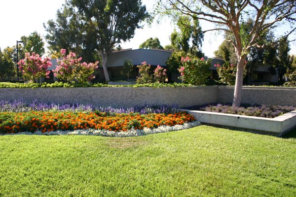 Commercial Landscape Service in Roswell