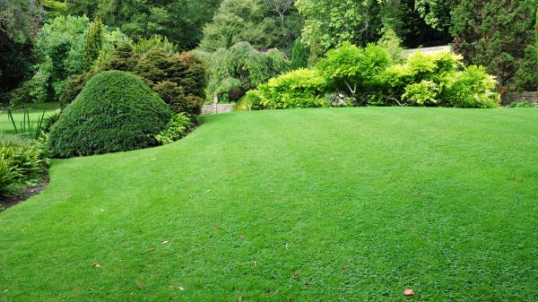 Commercial Landscape Design in Roswell