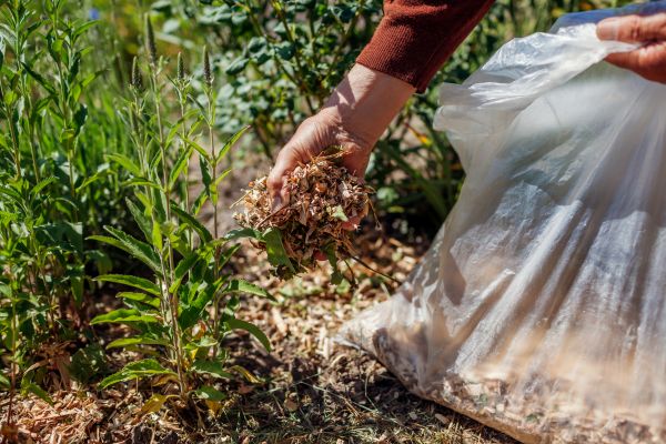 Wood Mulch Installation in Roswell