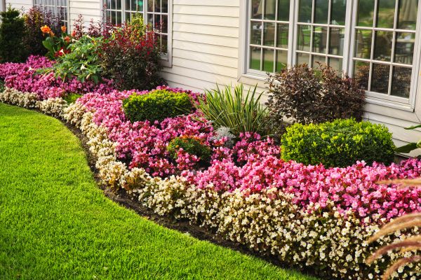 Garden Landscape Design in Roswell