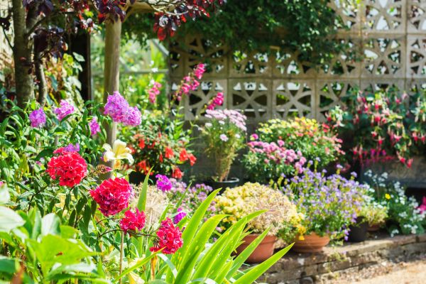 Spring Garden Maintenance in Roswell