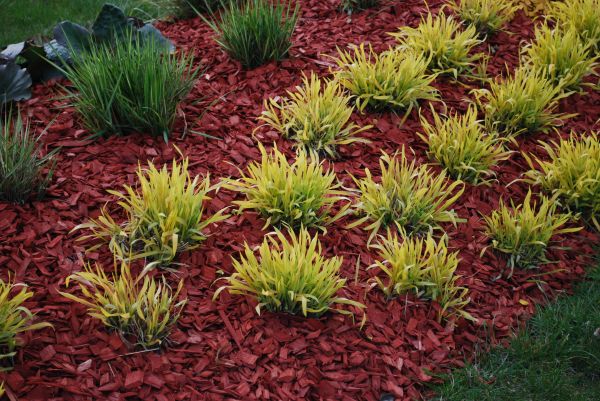 Red Mulch Installation in Roswell