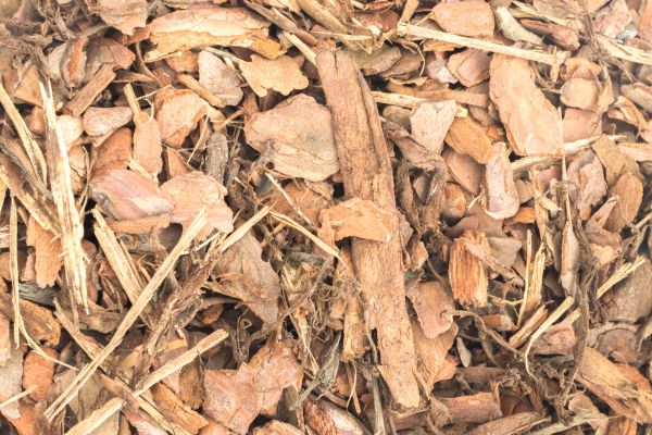 Bark Mulch Installation in Roswell