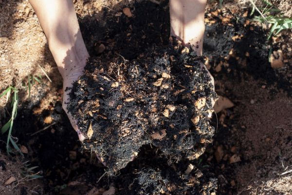 Organic Mulch Installation in Roswell