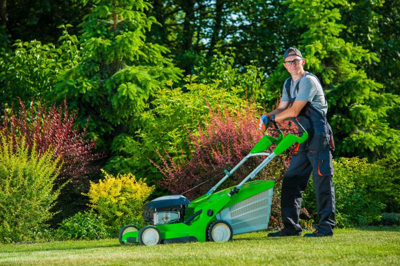 Lawn Repair Service detail