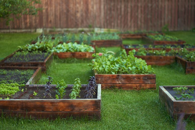 Garden Bed Designs